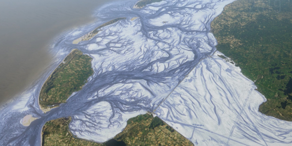 To the bottom of the Wadden Sea