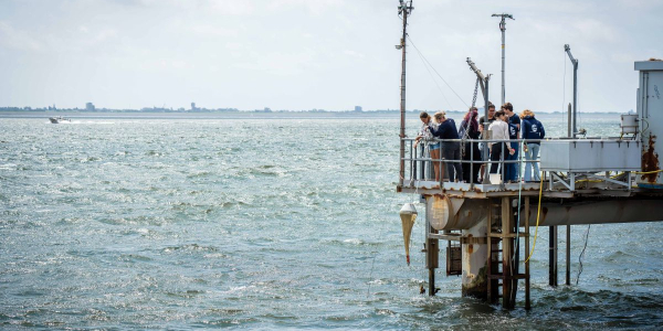 Use of a plankton net on the NIOZ jetty (© Stefan Krofft).