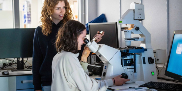 Phytoplankton under the microscope (© Stefan Krofft).