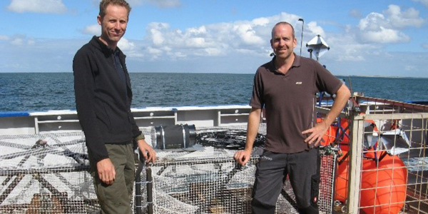 Investigating North Sea Reef