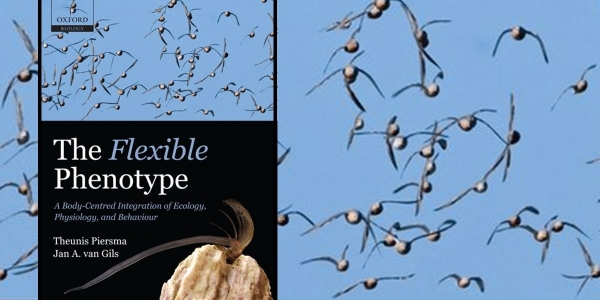 The Flexible Phenotype