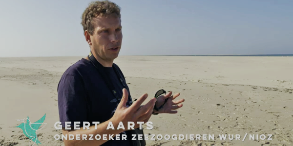 Seal eat half of all fish