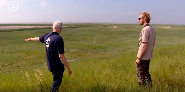 Natural coastal protection