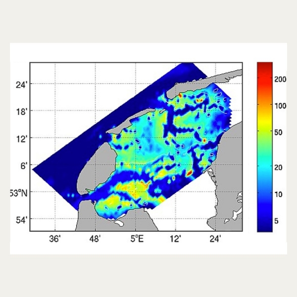 Higher trophic levels